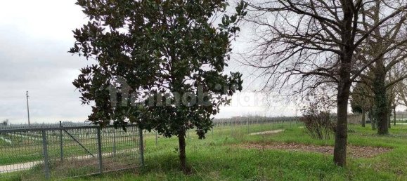 6 bedrooms Apartment in Alfonsine, Italy No. 313562 3