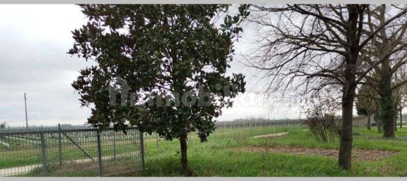 6 bedrooms Apartment in Alfonsine, Italy No. 313562 22