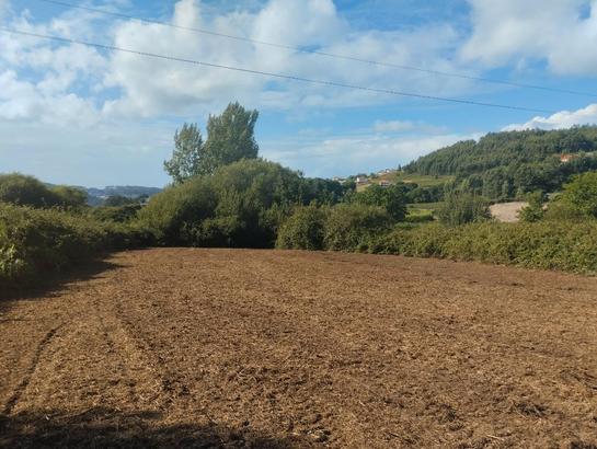 Grundstück in Arteixo, Spain 3000m², Nr. 205401