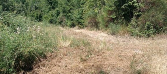  قطعة أرض في Gerano, Italy 70000متر مربع رقم 311808 2