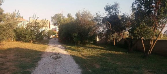 2 chambres Propriété commerciale à Marathon, Greece No. 2815 6