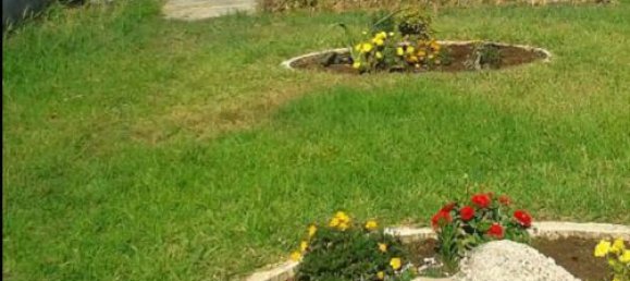 2 chambres Propriété commerciale à Marathon, Greece No. 2815 5