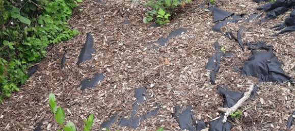 Terreno en Cochem-Zell, Germany 512 m² No. 138359 2