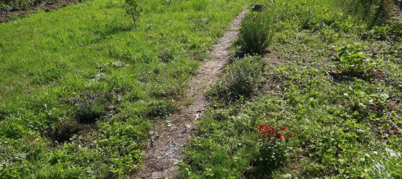 Terreno en Cochem-Zell, Germany 512 m² No. 138359 6