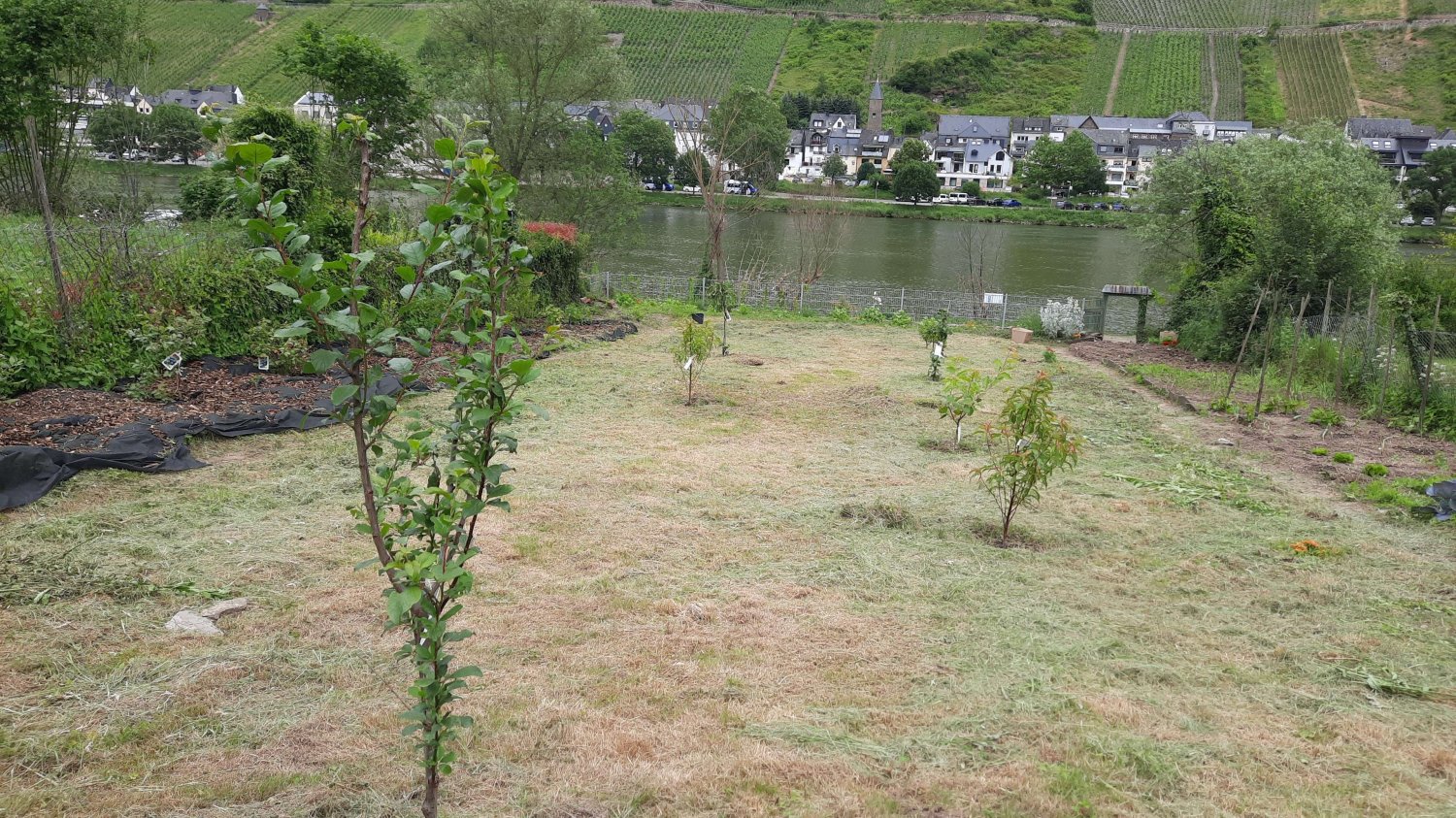 Terreno en Cochem-Zell, Germany 512 m² No. 138359