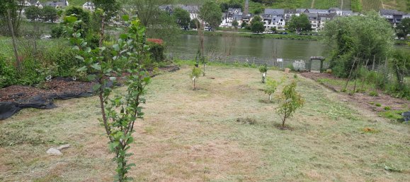 Terreno en Cochem-Zell, Germany 512 m² No. 138359 7