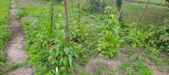 Terreno en Cochem-Zell, Germany 512 m² No. 138359 5