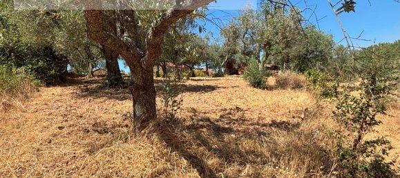 1 bedroom House in Sarzedas, Portugal No. 211271 23