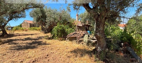 1 bedroom House in Sarzedas, Portugal No. 211271 20