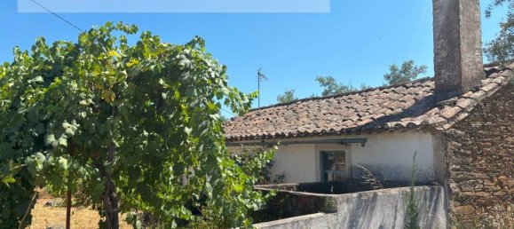 1 bedroom House in Sarzedas, Portugal No. 211271 3