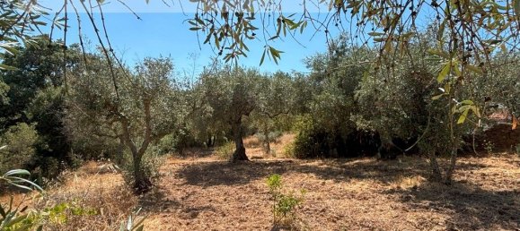 1 bedroom House in Sarzedas, Portugal No. 211271 21