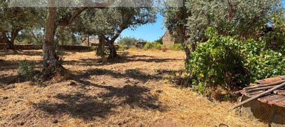 1 bedroom House in Sarzedas, Portugal No. 211271 18