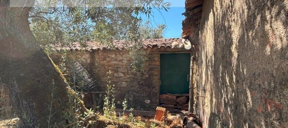 1 bedroom House in Sarzedas, Portugal No. 211271 11