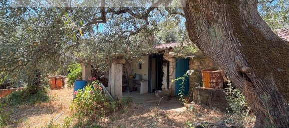 1 bedroom House in Sarzedas, Portugal No. 211271 12