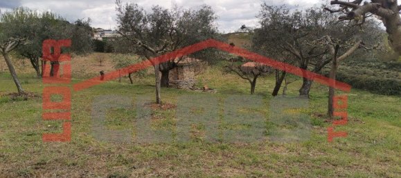 6 Schlafzimmer Haus in Vimioso, Portugal, Nr. 225096 31