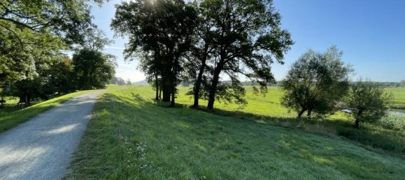 3 rooms House in Prignitz, Germany No. 269272 8