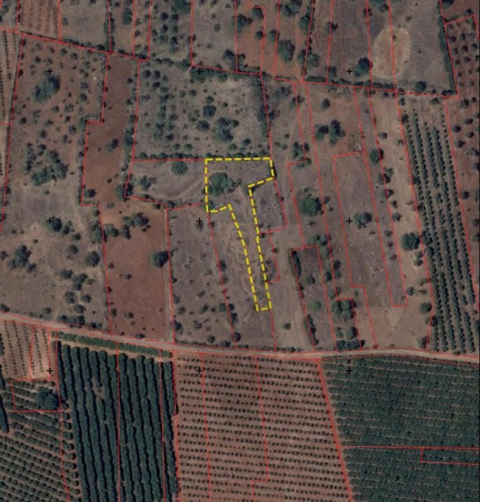 Земельный участок в Сан Бартоломеу де Мессинеш, Португалия № 304826