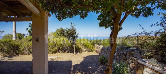 2 bedrooms House in Trinità d'Agultu e Vignola, Italy No. 272801 4