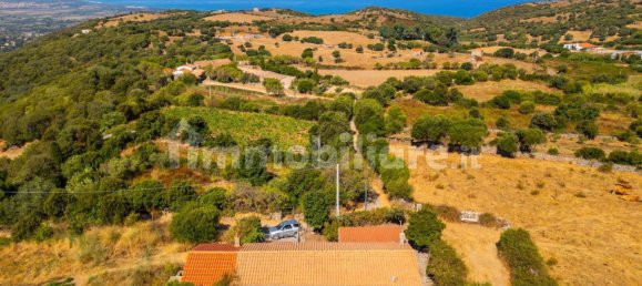 2 bedrooms House in Trinità d'Agultu e Vignola, Italy No. 272801 2