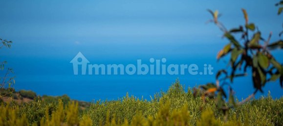 2 bedrooms House in Trinità d'Agultu e Vignola, Italy No. 272801 40