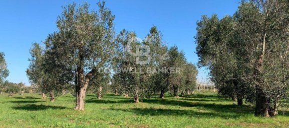 Casa de 3 habitaciónes en Specchia, Italy No. 235277 15