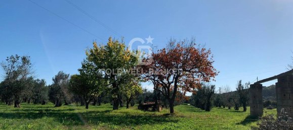 Casa de 3 habitaciónes en Specchia, Italy No. 235277 13