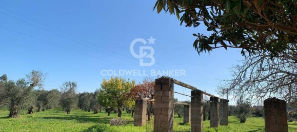 Casa de 3 habitaciónes en Specchia, Italy No. 235277 11