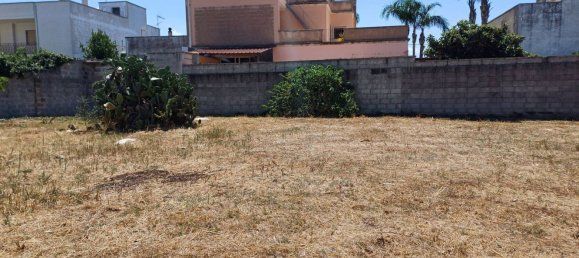  قطعة أرض في San Donato di Lecce, Italy 1100متر مربع رقم 305873 3
