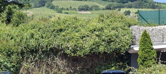 4 rooms Townhouse in Guntramsdorf, Austria No. 172985 18