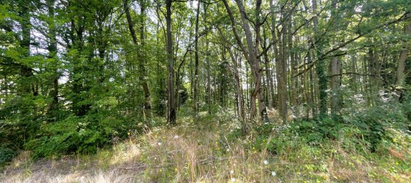 Terreno en Nogent-le-Phaye, France No. 258614 2