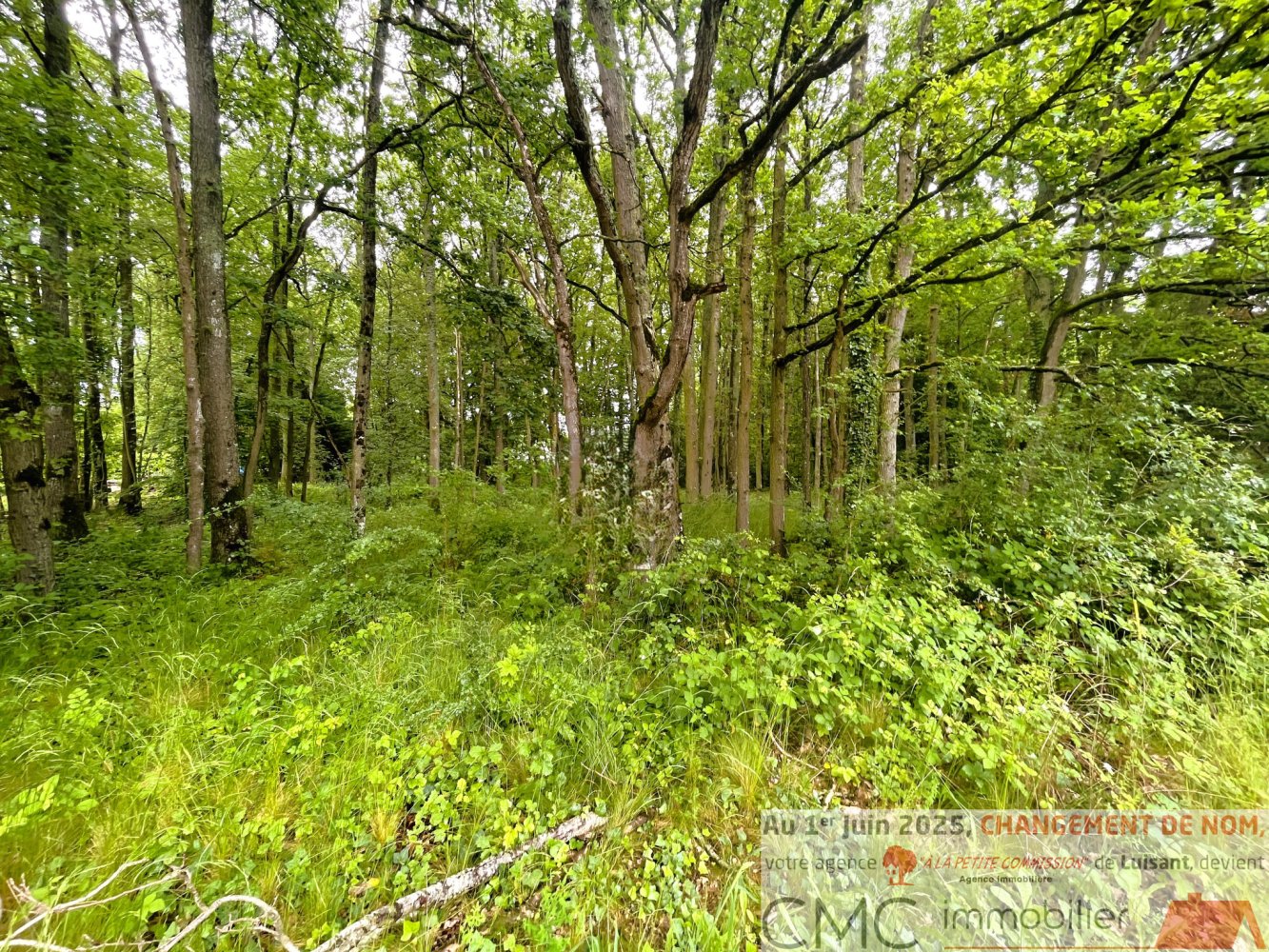 Terreno en Nogent-le-Phaye, France No. 258614