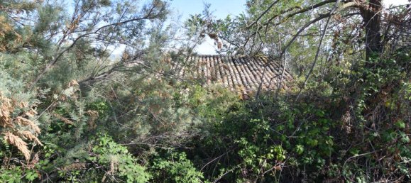 2 rooms Apartment in Città Sant'Angelo, Italy No. 310930 11