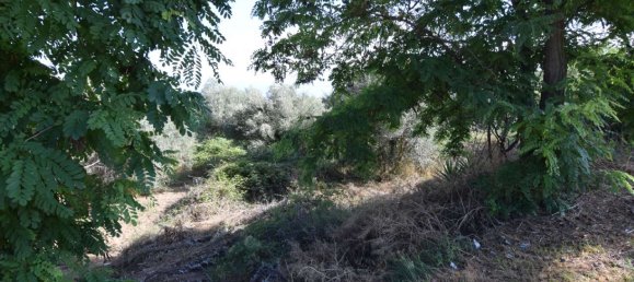 2 rooms Apartment in Città Sant'Angelo, Italy No. 310930 10