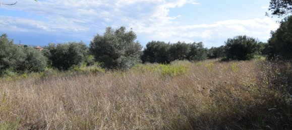 2 rooms Apartment in Città Sant'Angelo, Italy No. 310930 8