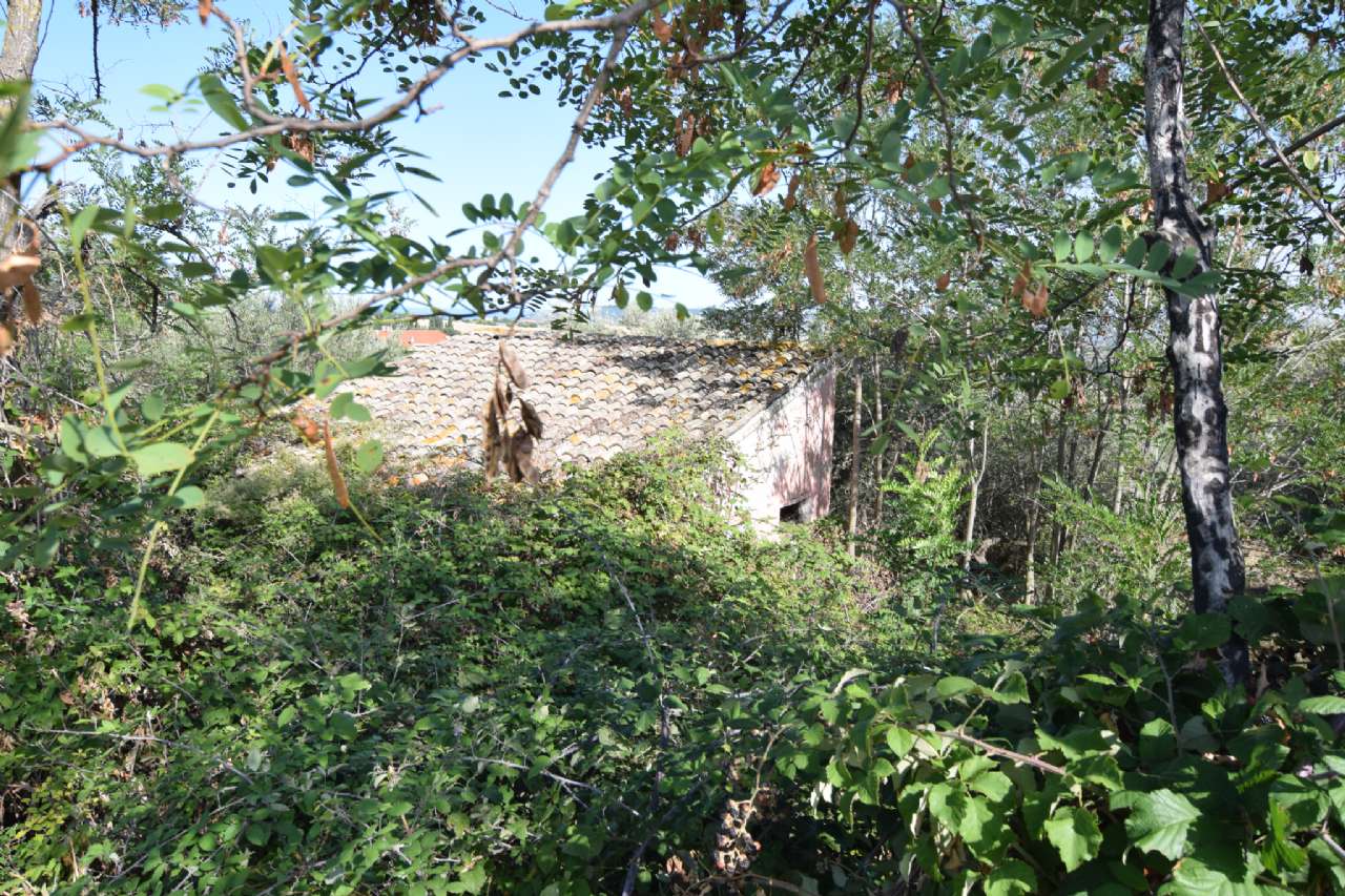 2 rooms Apartment in Città Sant'Angelo, Italy No. 310930