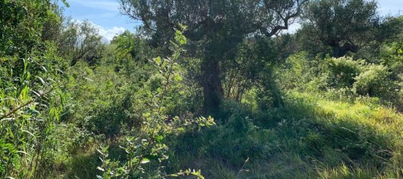 2 rooms Apartment in Città Sant'Angelo, Italy No. 310930 14