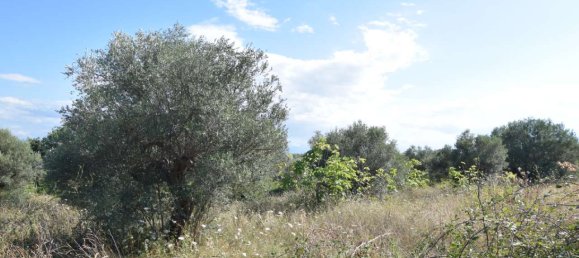 2 rooms Apartment in Città Sant'Angelo, Italy No. 310930 7