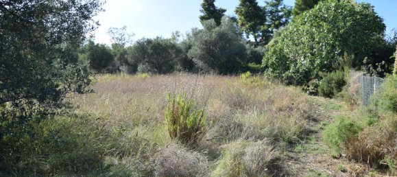 2 rooms Apartment in Città Sant'Angelo, Italy No. 310930 6