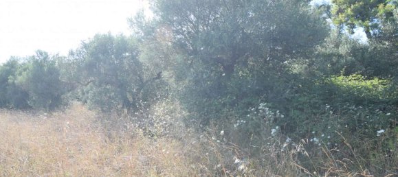 2 rooms Apartment in Città Sant'Angelo, Italy No. 310930 5