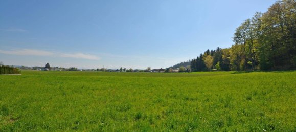 681m² Land in Mattighofen, Austria No. 102878 4