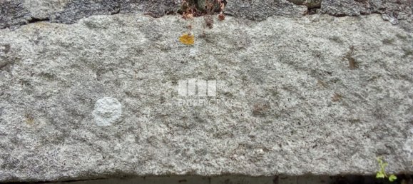 5250m² Land in Darque, Portugal No. 223865 8