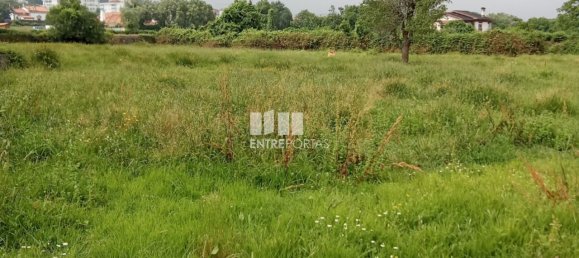 5250m² Land in Darque, Portugal No. 223865 2