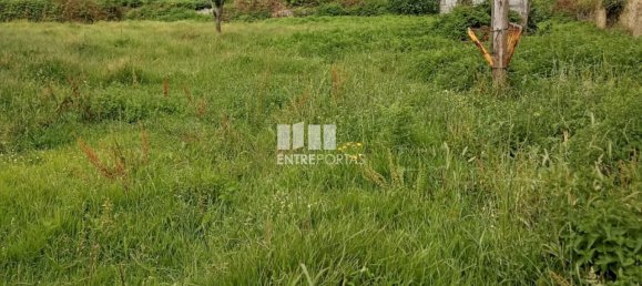 5250m² Land in Darque, Portugal No. 223865 4