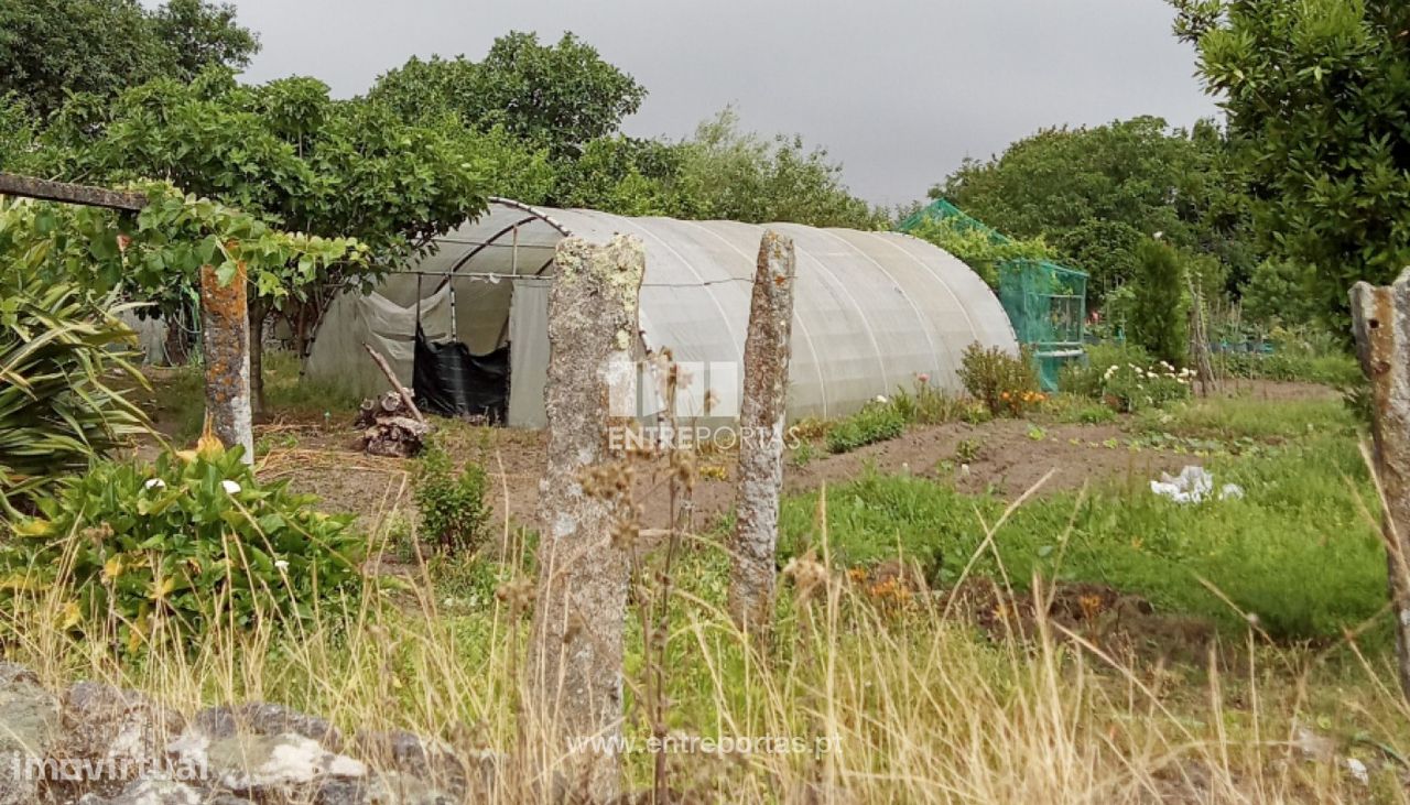 Terreno en Darque, Portugal 5250 m² No. 223865