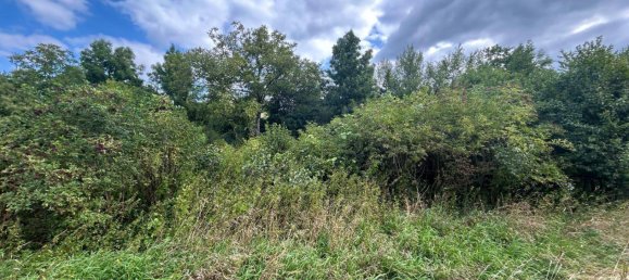 647m² Land in Niederleis, Austria No. 231744 2