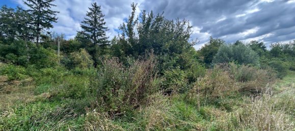 647m² Land in Niederleis, Austria No. 231744 5