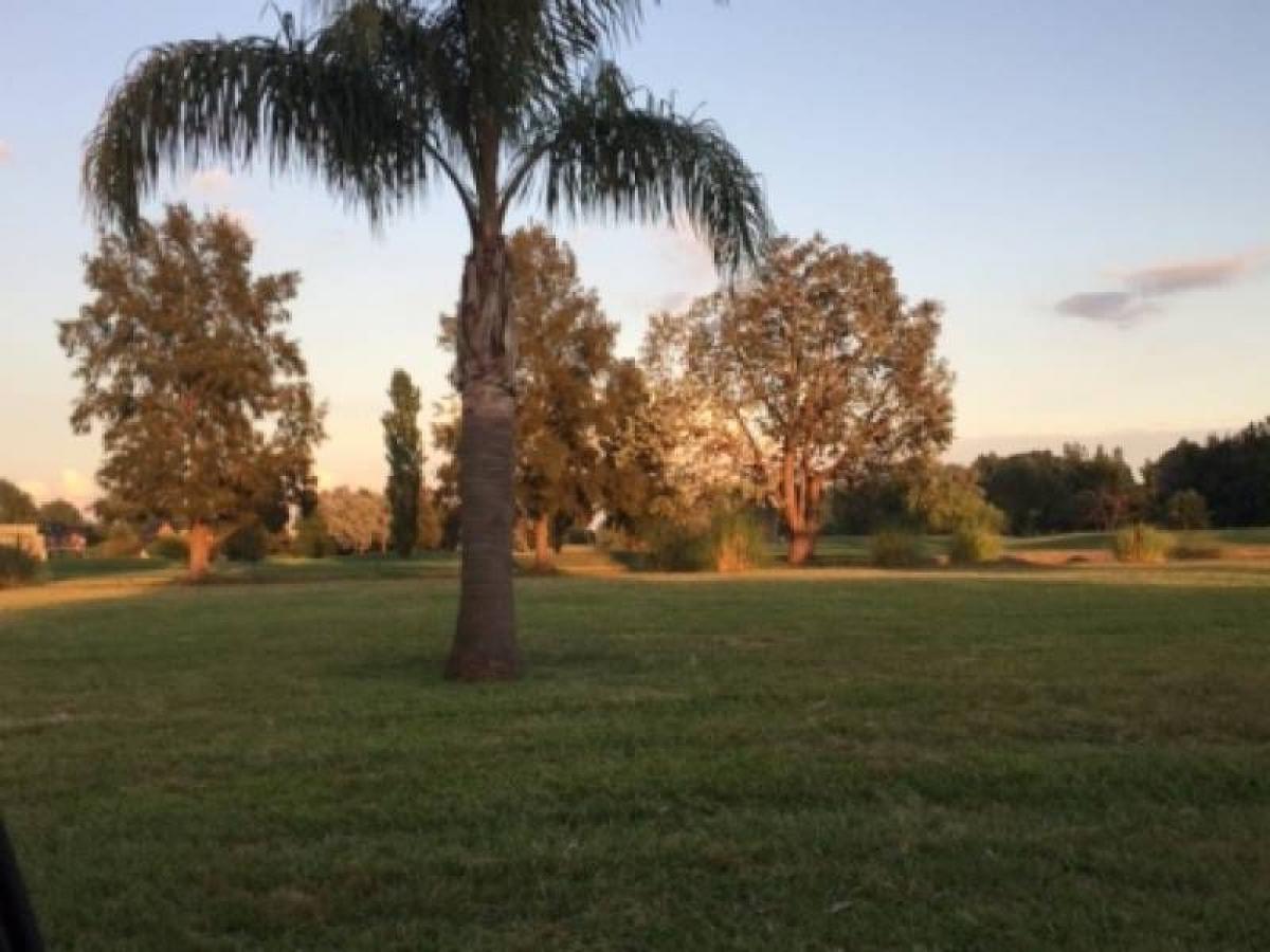  Land in Pilar, Argentina No. 43544