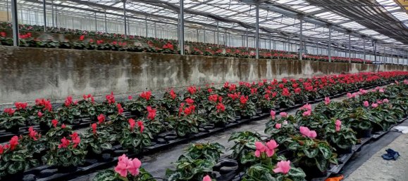 Grundstück in Sanremo, Italy 17000m², Nr. 231712 9