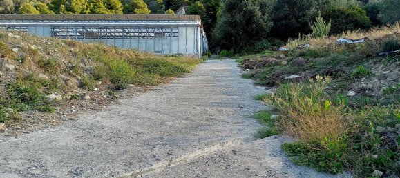 Grundstück in Sanremo, Italy 17000m², Nr. 231712 18