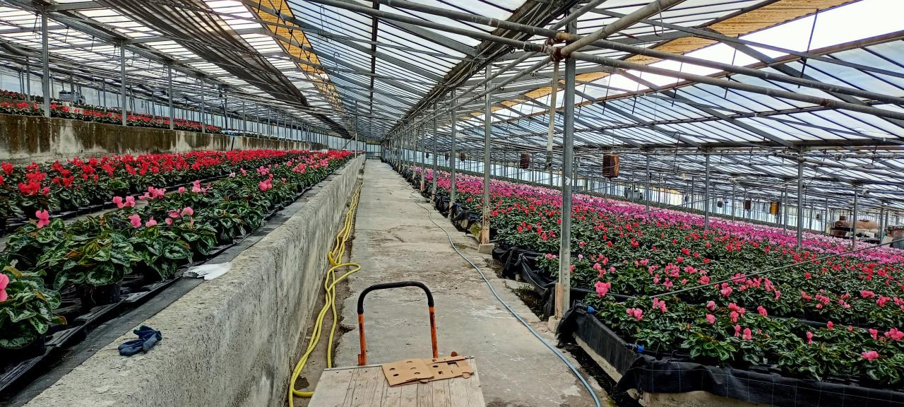 Grundstück in Sanremo, Italy 17000m², Nr. 231712